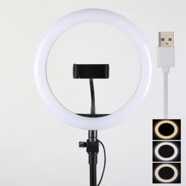 26 CM selfie LED Ring Light With Ball Head Mobile Holder 3 Colour Brightness with Dimm full option